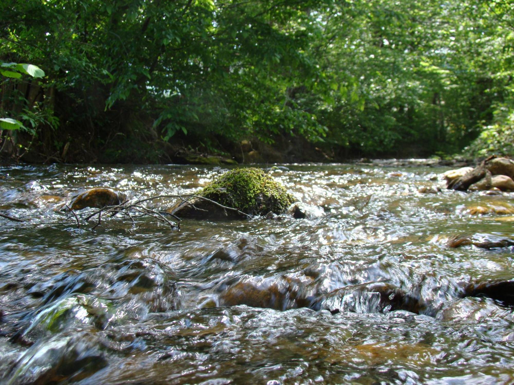 Gasthof Stegweber Schwanberg Kültér fotó